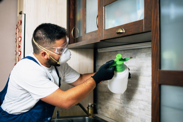Best Commercial Pest Control Services  in The Dalles, OR