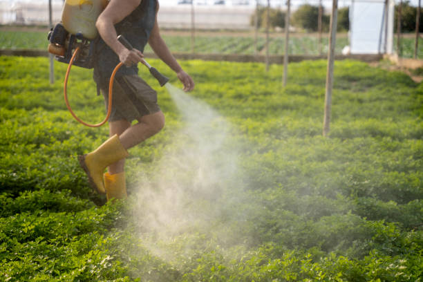 Best Pest Removal Services  in The Dalles, OR