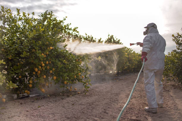Best Pest Control Near Me in The Dalles, OR
