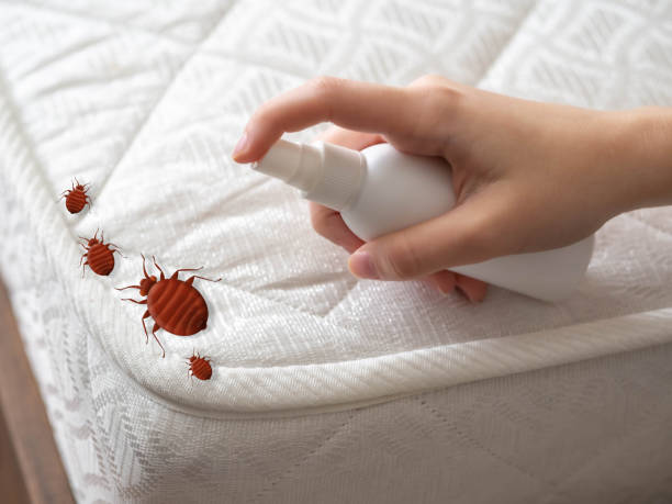 Best Cockroach Control Services  in The Dalles, OR