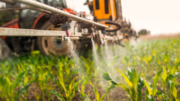 Best Ant Control Services  in The Dalles, OR
