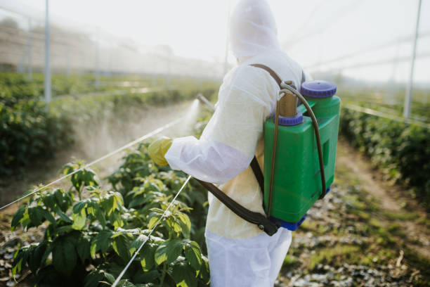 Best Residential Pest Control  in The Dalles, OR